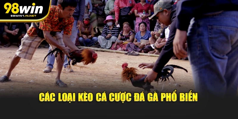 Các loại kèo cá cược đá gà phổ biến