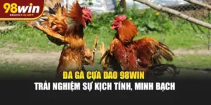 Đá Gà Cựa Dao 98WIN – Trải Nghiệm Sự Kịch Tính, Minh Bạch