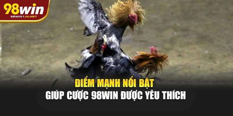 Điểm mạnh nổi bật giúp cược đá gà 98WIN được yêu thích