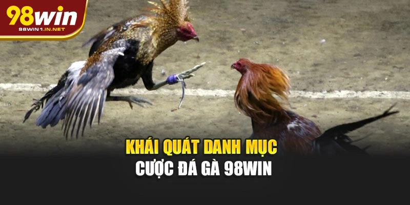 Khái quát danh mục cược đá gà 98WIN