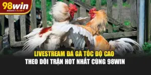 Livestream Đá Gà Tốc Độ Cao - Theo Dõi Trận Hot Nhất Cùng 98WIN