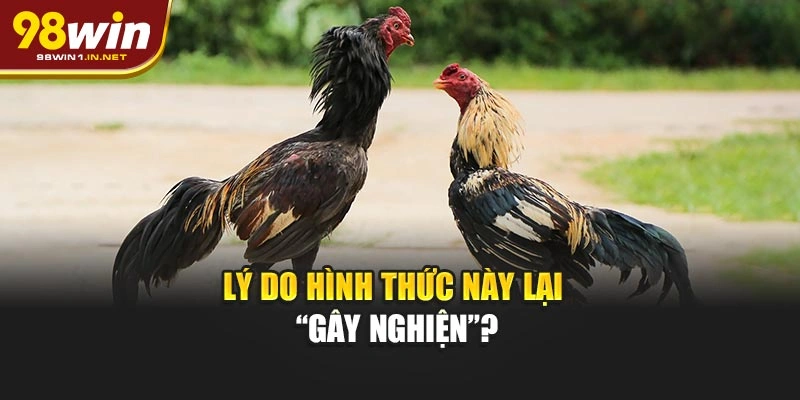 Lý do hình thức này lại “gây nghiện”?